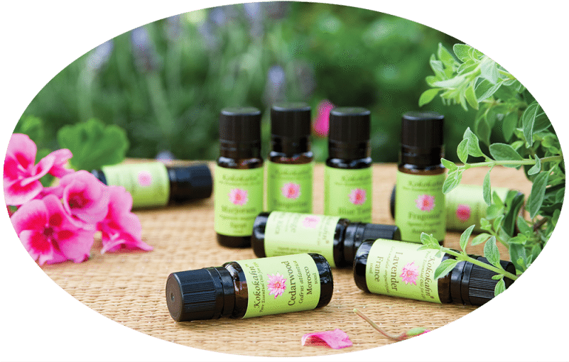 Essential Oils For Cold And Flu Season - Foot (800x517), Png Download