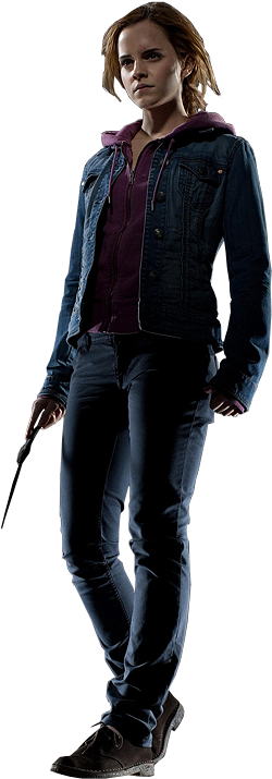 Png Count - 7 - - - Harry Potter Hermione Png (249x740), Png Download