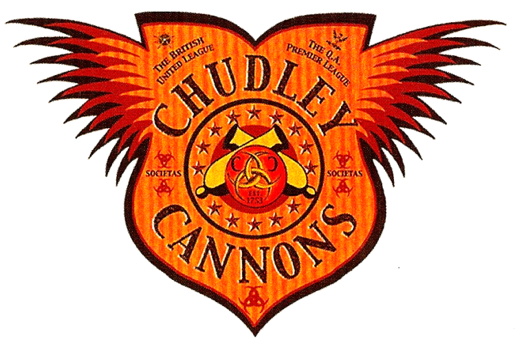 In The Final Novel, Ron Abandons Harry And Hermione, - Chudley Cannons (768x511), Png Download