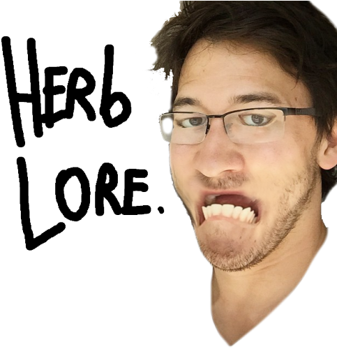 Oh Markiplier, What Have I Done To Your Face D - Poster (500x500), Png Download