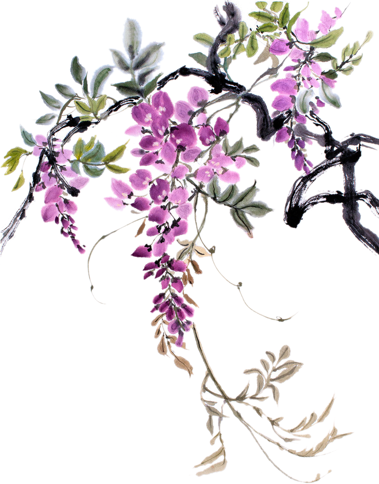 Vines Png Images - Chinese Watercolor Wisteria (762x1024), Png Download