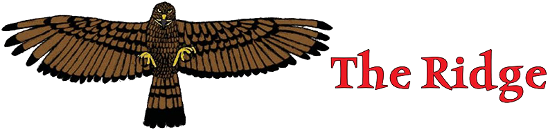 Headlines & Deadlines - Sea Eagle (800x192), Png Download