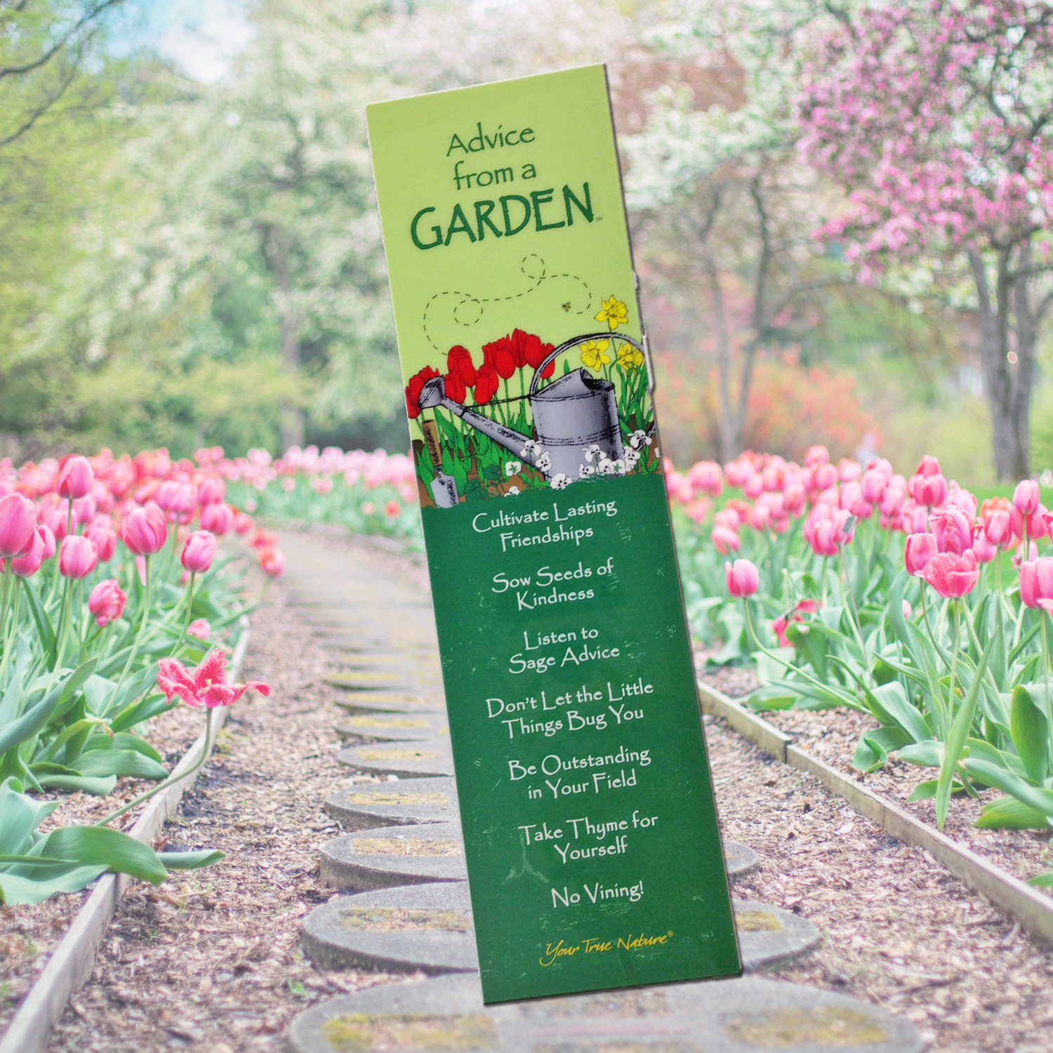 Advice From A Garden Bookmark - 5x10 Wood Sign Advice From A... Advice (1500x1500), Png Download