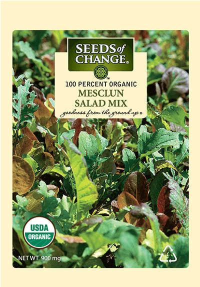 Organic Mesclun Mix Salad Mix Seeds - Mesclun Mix Salad (573x573), Png Download