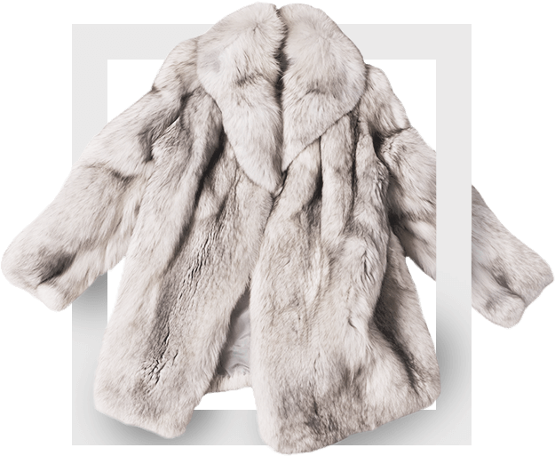 1 - 1 - 0clothes - Veste De Fourrures (644x544), Png Download