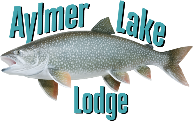 Aylmer Lake Lodge - Aylmer Lake (735x453), Png Download