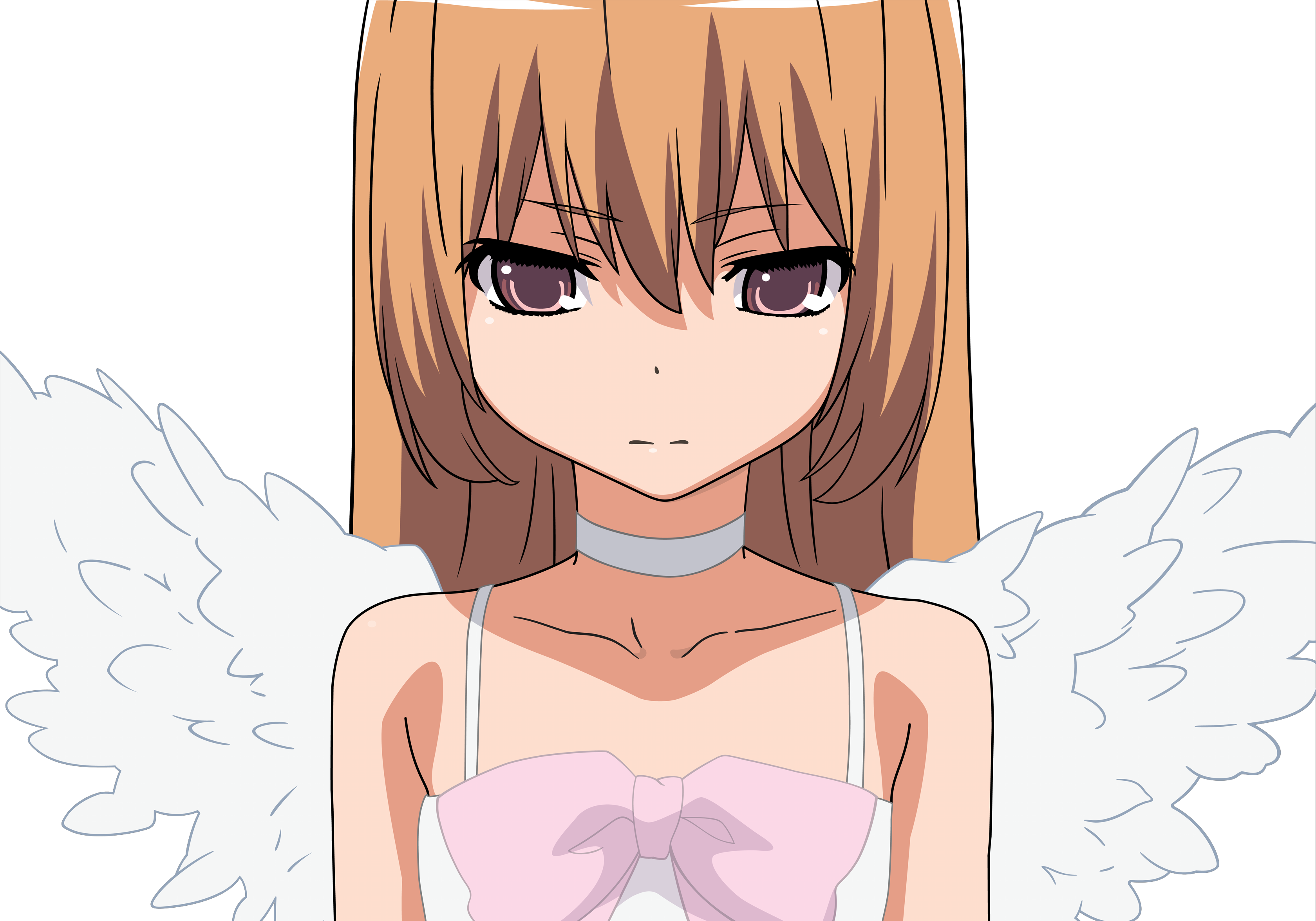 Taiga Aisaka - Айсака Тайга Из Торадора (1920x1371), Png Download