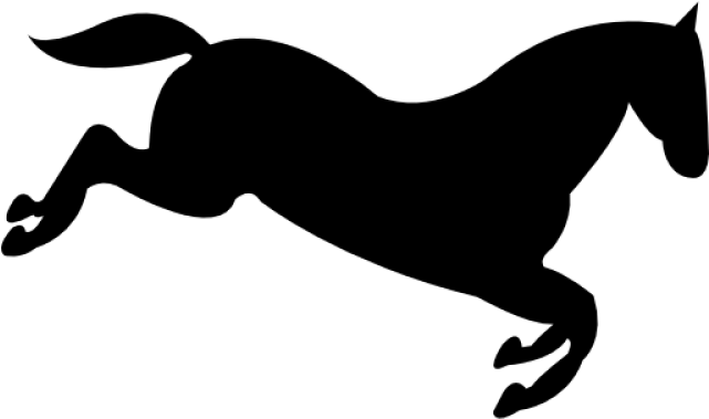 Horse (640x480), Png Download