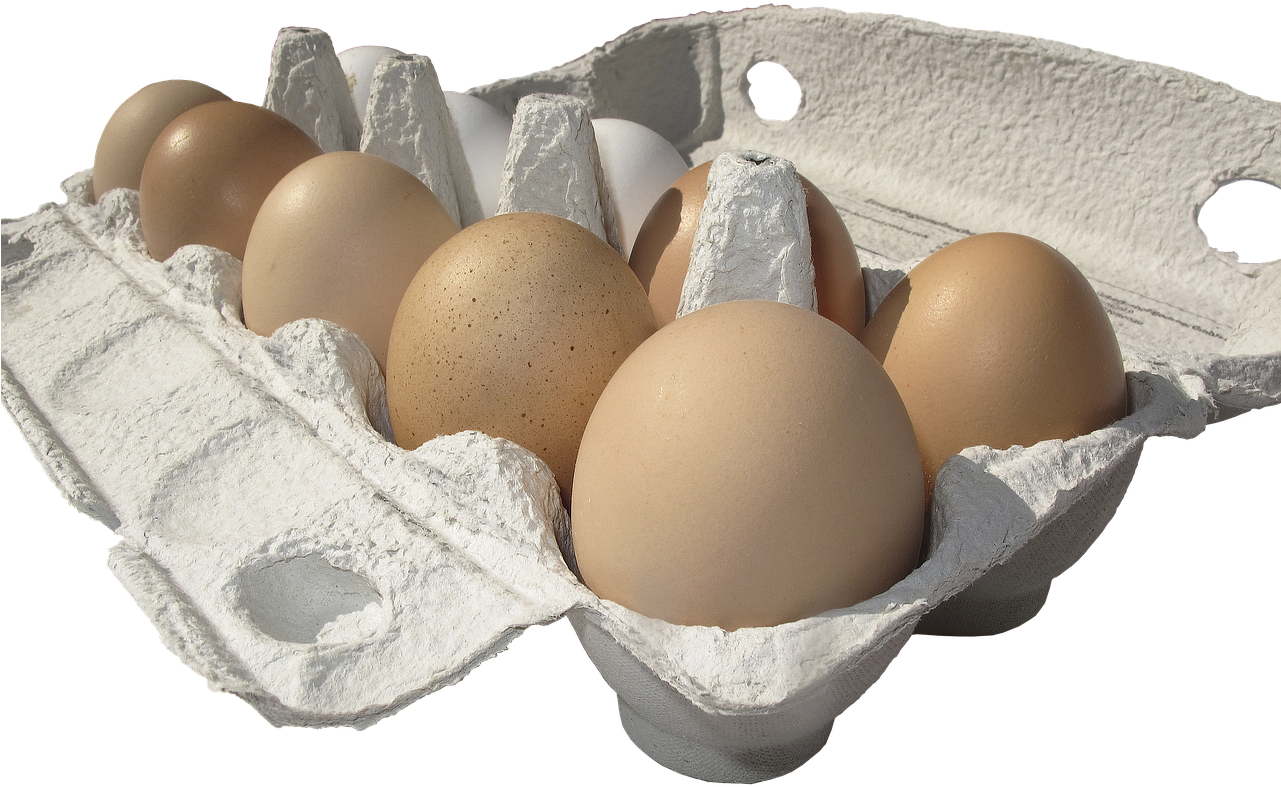 Egg Carton Easter - Egg (1280x800), Png Download