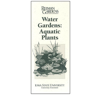 Water (400x514), Png Download