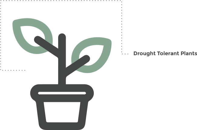 10 Am 16533 Toilets - Houseplant (750x800), Png Download