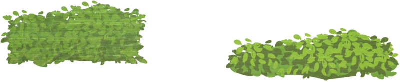 Pin Shrubbery Clip Art - Shrubs Plan Png (800x164), Png Download