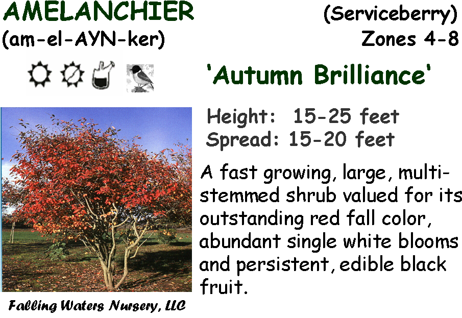 Reduced $12, Bogo $15 - Wausau (943x638), Png Download