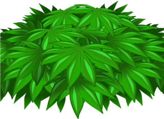 Illustration (640x480), Png Download