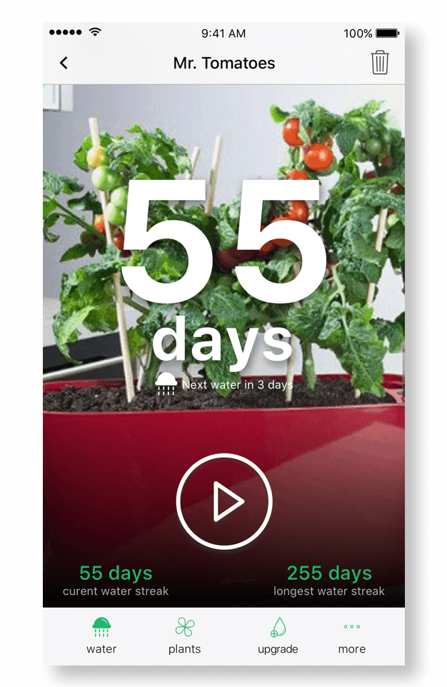 Upgrade To Premium For Unlimited Plants - Happy Plant App (626x962), Png Download