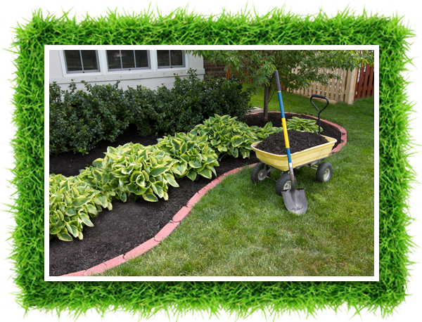 Mulching Around The Bushes - Grass And Mulch Divider (600x458), Png Download