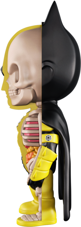Xxray Batman Yellow Lantern 4-inch Figure By Mightyjaxx - Batman (800x800), Png Download