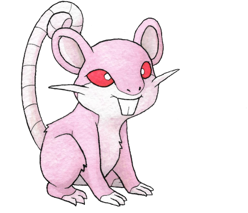 #019 Rattata / #020 Raticate - Pikachu (500x455), Png Download