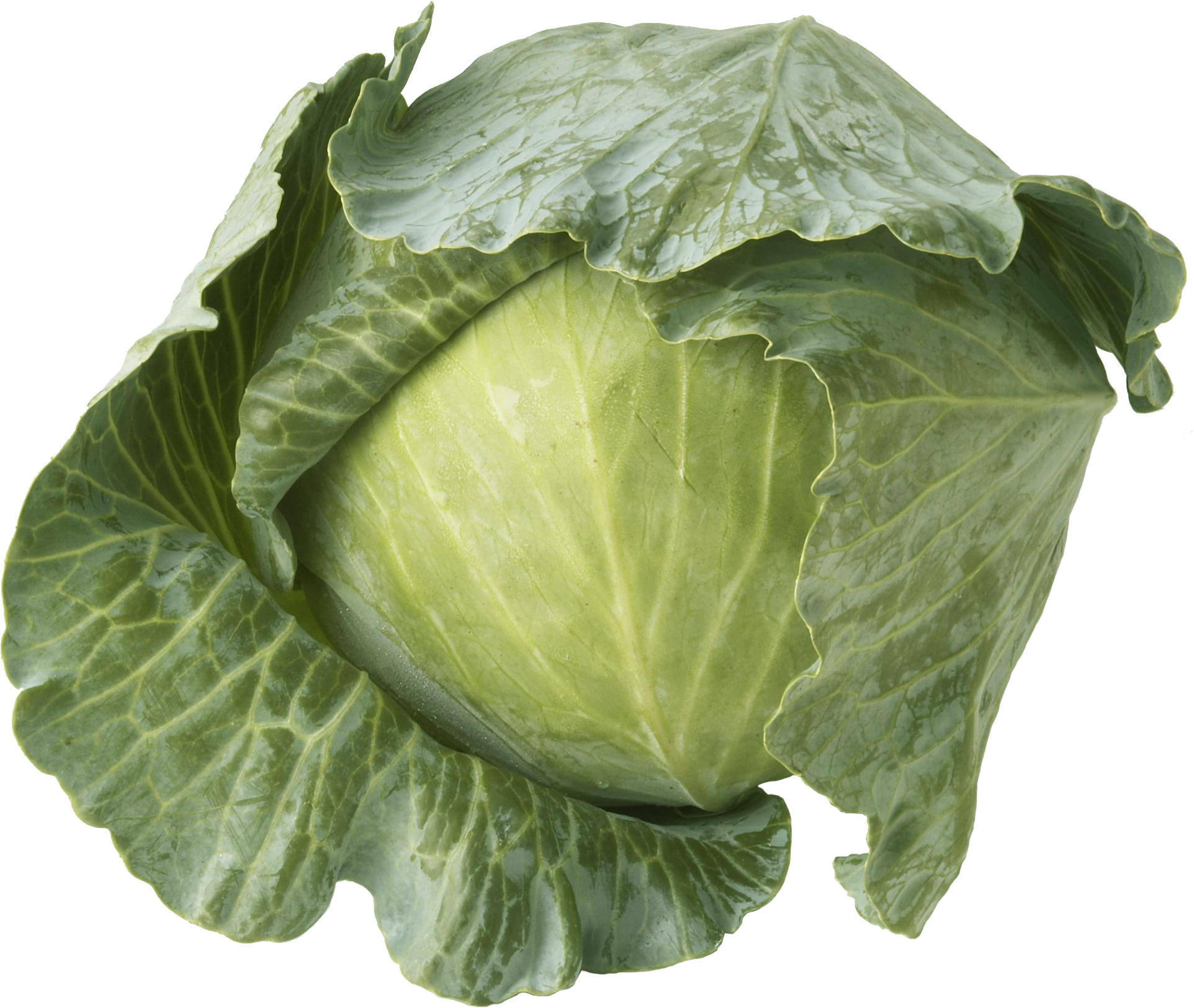 41056 Broccoli Crowns Cs, 88882 Fuji Apples 100/125ct, - Cabbage (1992x1800), Png Download