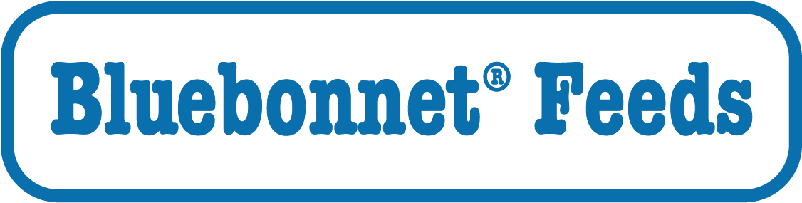Providing Superior Feeds And Supplements For Equine, - Bluebonnet Feeds Logo (1149x312), Png Download