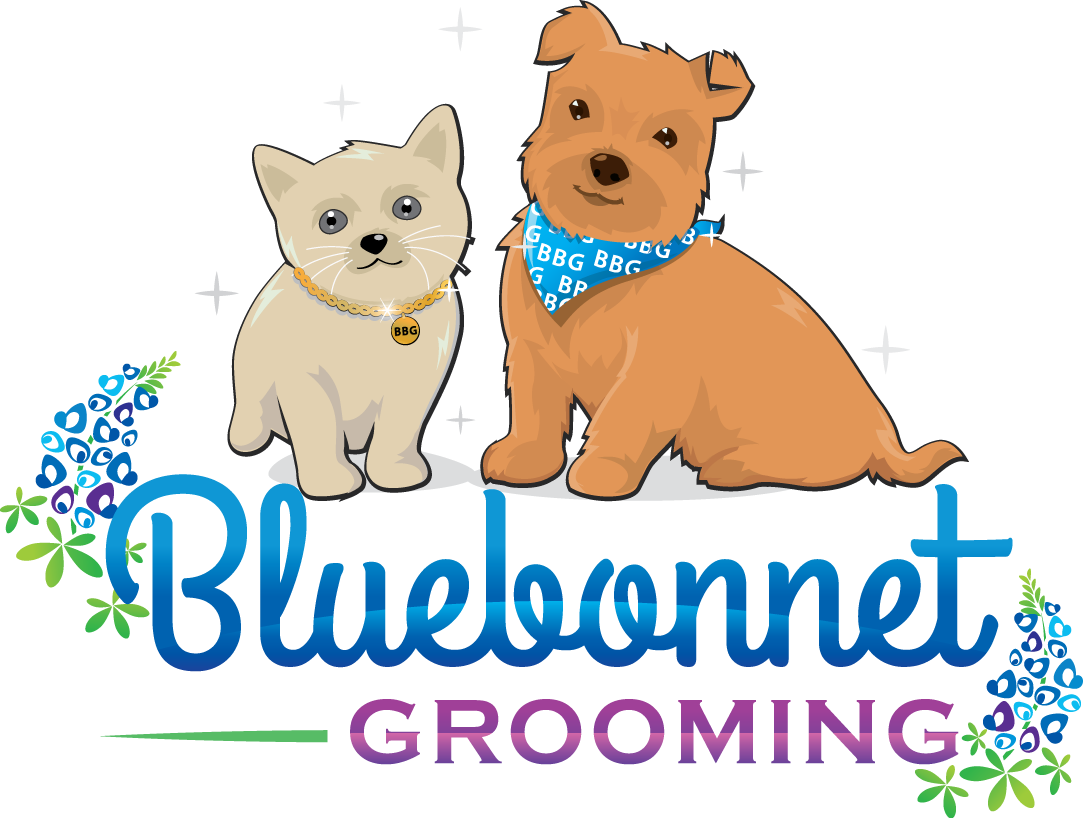 Welcome To Bluebonnet Grooming - Meadowsmarvels Rose Gold Blush And Gold Arrow Birthday (1083x818), Png Download