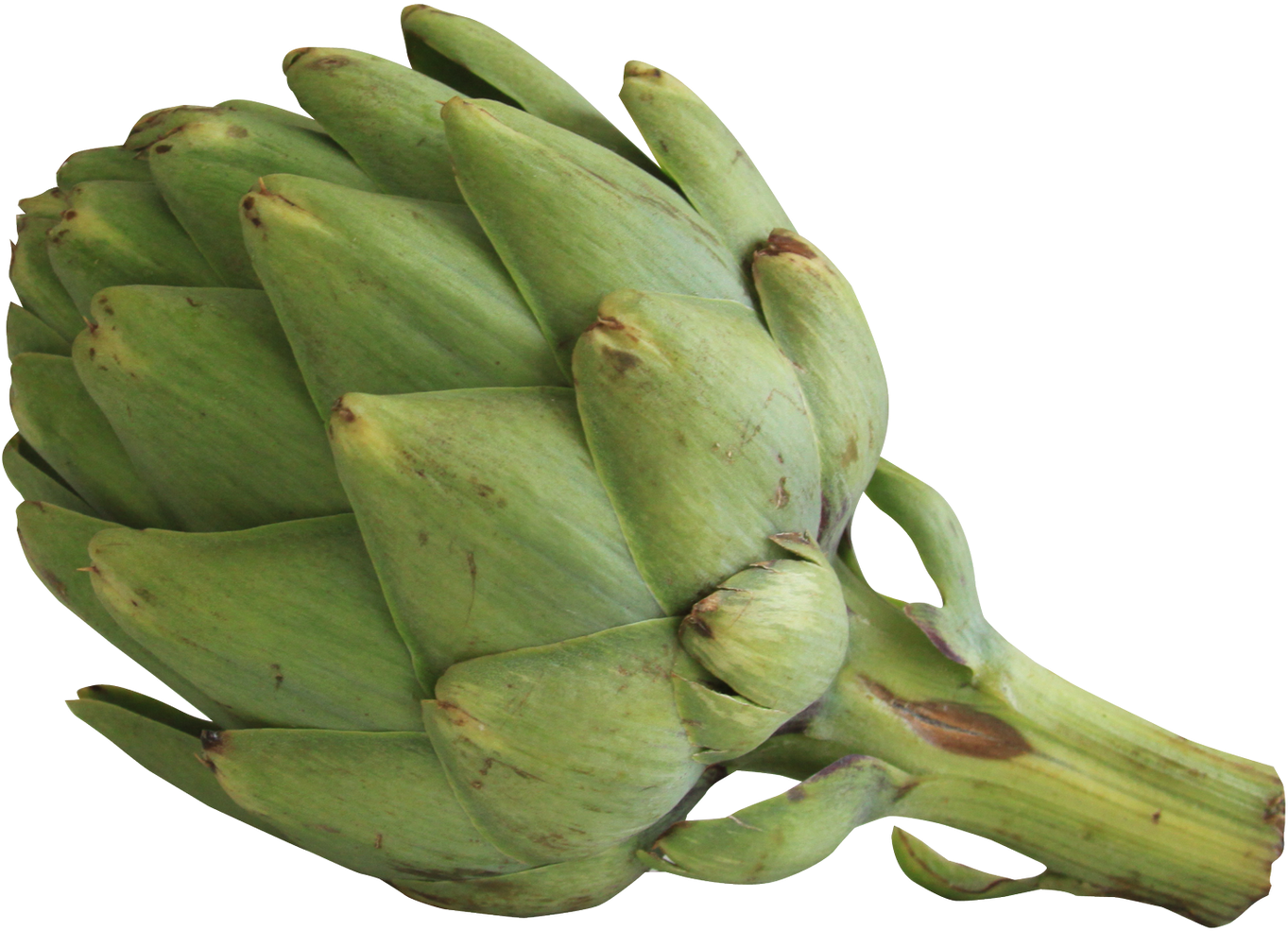 Derived From Plants Such As Fruits, Nuts, And Cereal (1600x1279), Png Download