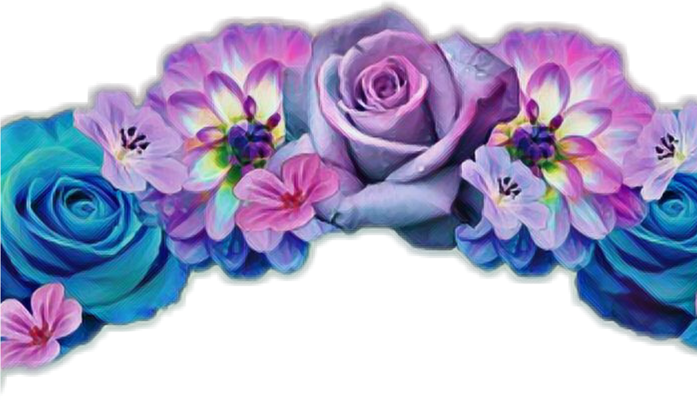 Flowercrown Flower Sticker Flowercrownsticker Flowersti - Orange Dahlia Seeds Chinese Flower Seeds Bonsai Plants (1368x855), Png Download