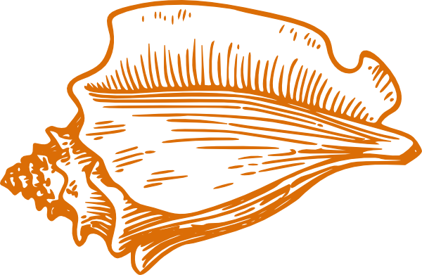 Conch Shell Clip Art (600x391), Png Download