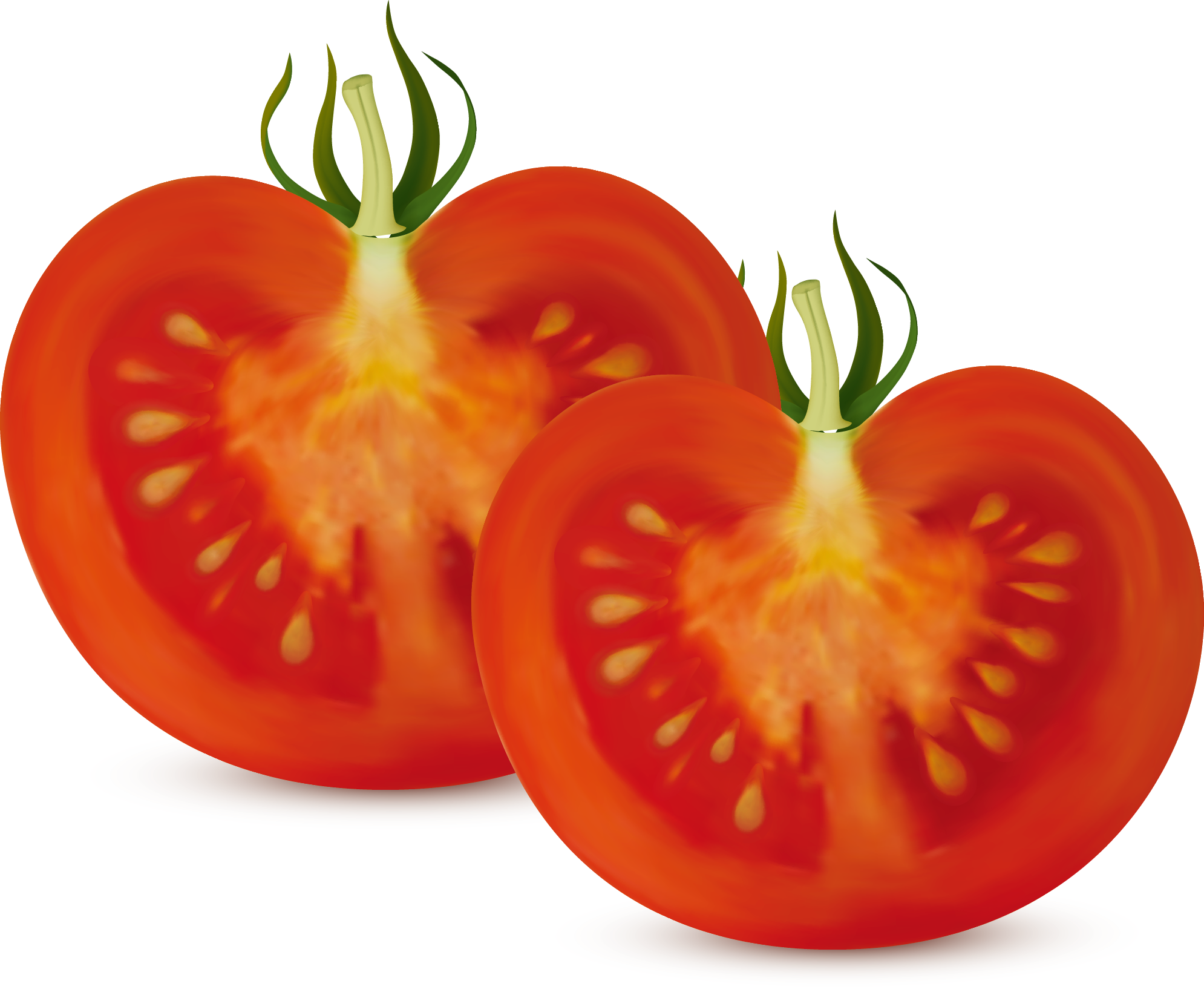 Bush Clipart Vegetable Plant - Tomato Cut In Half (1990x1644), Png Download