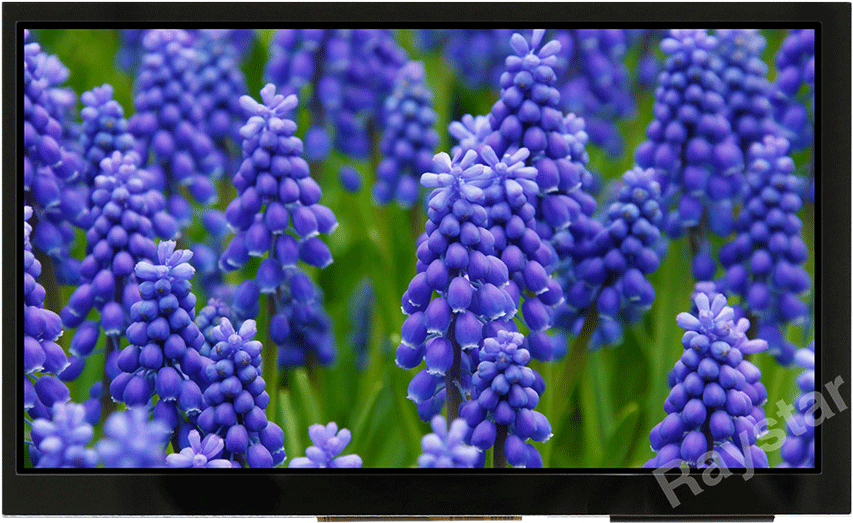 7 Capacitive Touch Screen Module With Controller Board - Hyacinth Flower (1000x800), Png Download