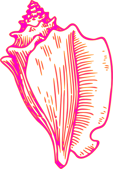 Pink Yellow Conch Shell 2 Clip Art At Clker - Conch Clipart (396x592), Png Download