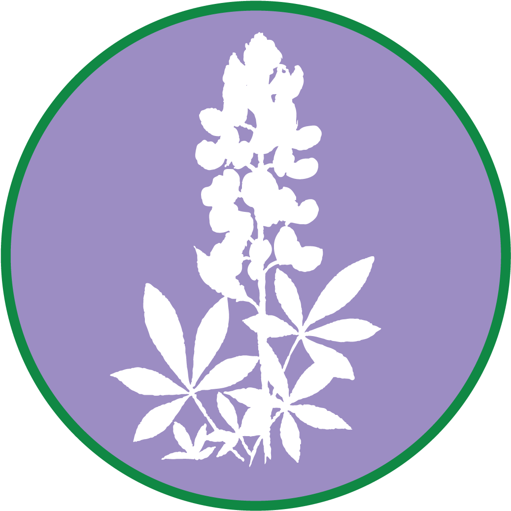 Bluebonnet $250 - Illustration (1200x1200), Png Download