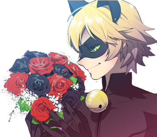 #miraculous Ladybug Chat Noir #anime #art #sweet #cute - Chat Noir Con Rosas (550x440), Png Download