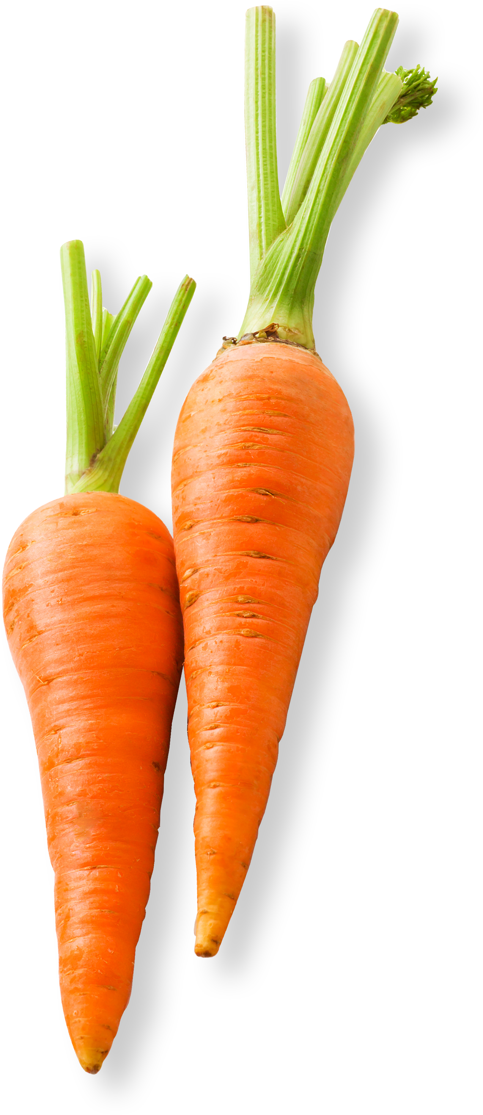 How Does It Work - Food (2400x5721), Png Download