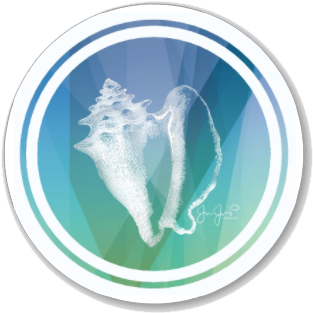 Cnidaria (377x347), Png Download