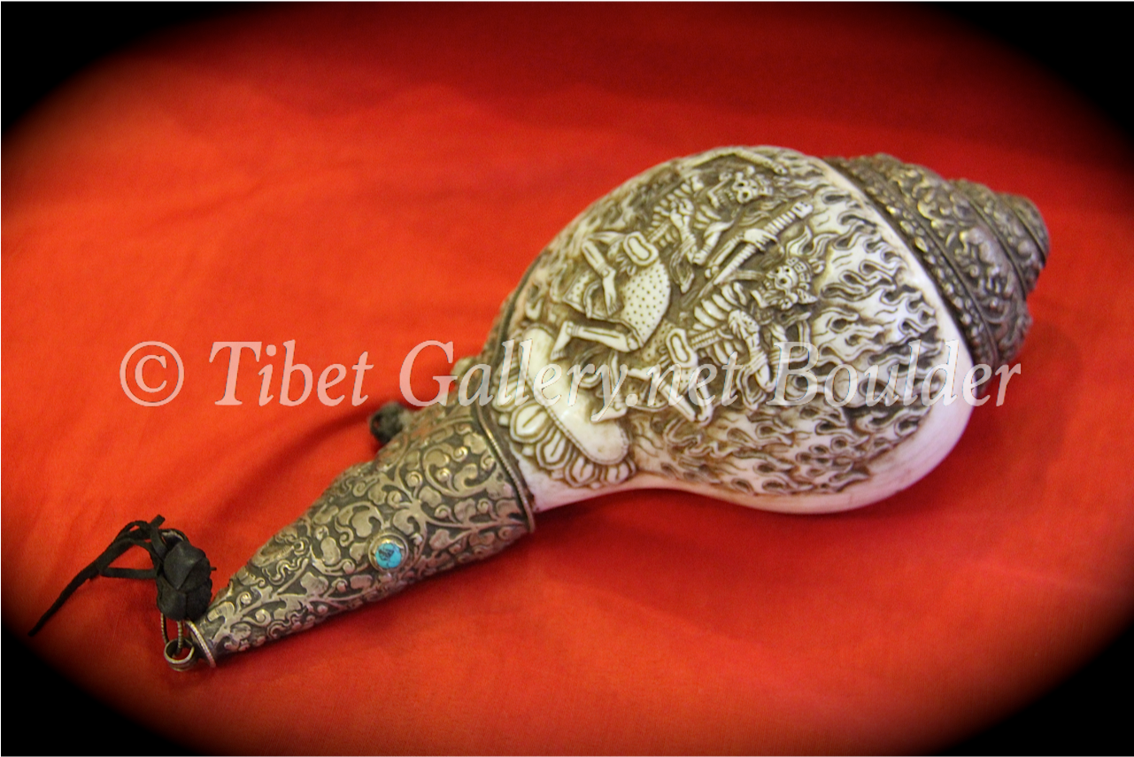 Conch Shell - Shotgun (1280x1700), Png Download