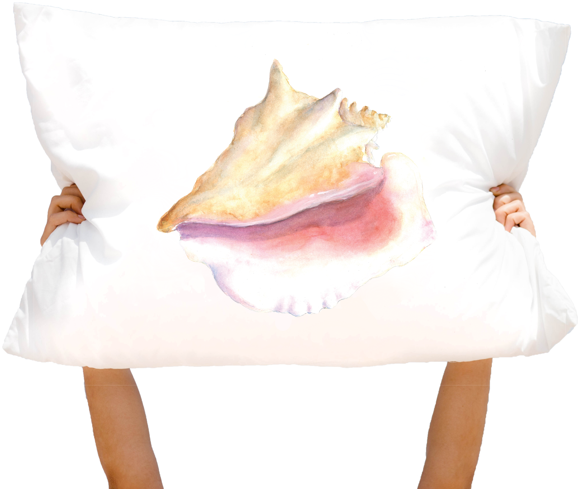 You're Spe-shell - Pillowtalk - Pillow (2048x1716), Png Download