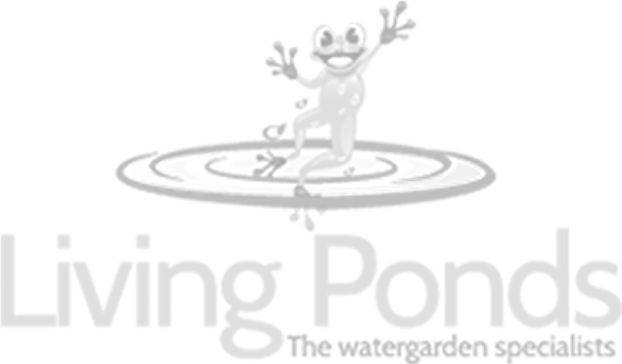 Fish Net Skimmer - Pond (1000x1000), Png Download