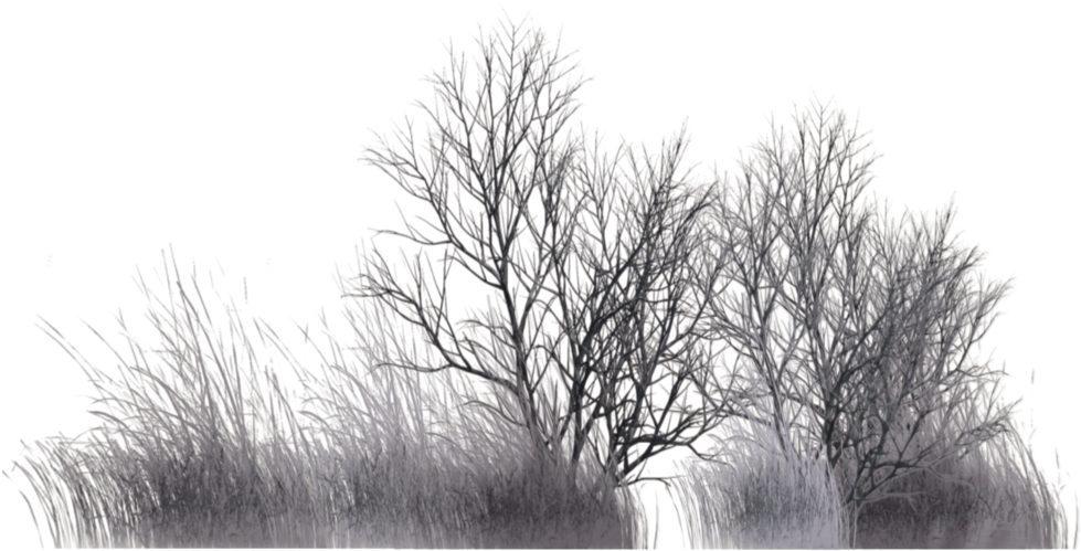 Winter Vegetation By Wolverine041269 On Deviantart - Winter Bushes Png (1023x639), Png Download