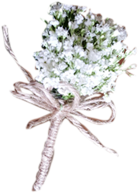 Baby's Breath Boutonniere - Bouquet (600x600), Png Download