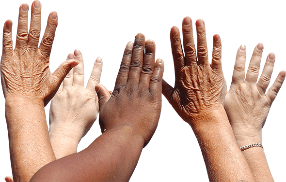 Having A Multicultural Family And Friends Is A Blessing, - Thanksgiving: More Than Just Turkey (590x377), Png Download