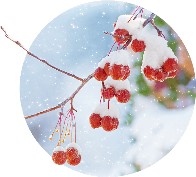 In Our Area, The Winter Season Tends To Drag On And - Stock Photography (696x619), Png Download