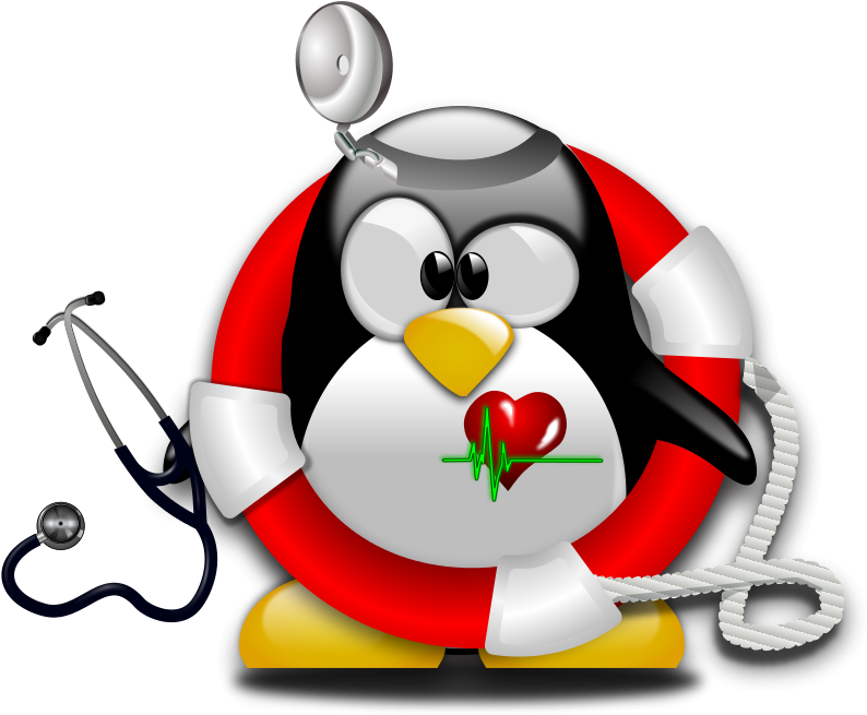 Emergency Penguin (800x656), Png Download