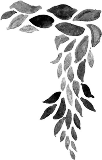 The Mcgill Daily (1000x570), Png Download