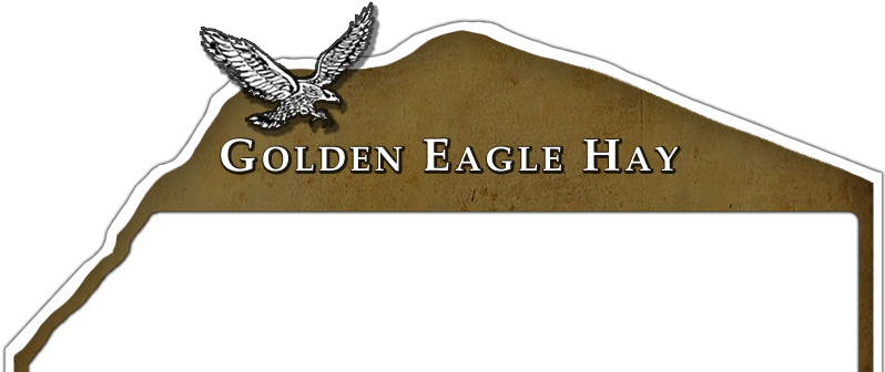 Golden Eagle Hay (797x353), Png Download