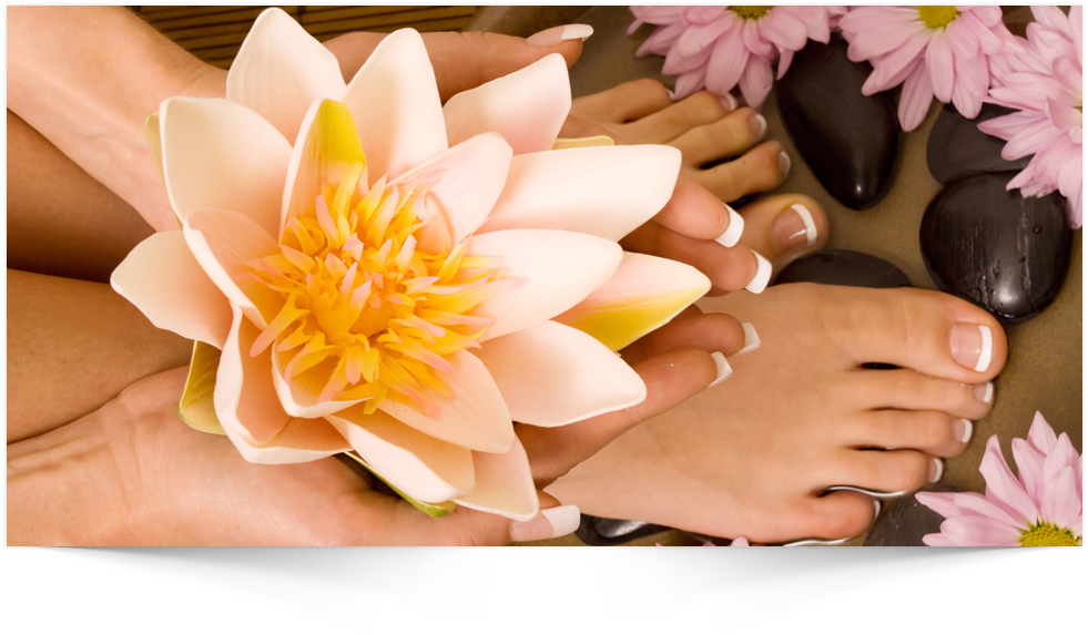 European Pedicure (980x581), Png Download