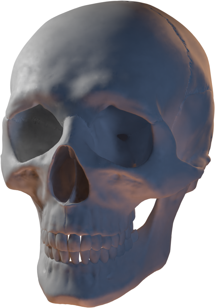 Preview 451 Kb - Blender (761x1080), Png Download