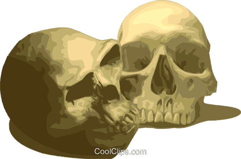 Human Skulls Royalty Free Vector Clip Art Illustration - Scientist (480x317), Png Download