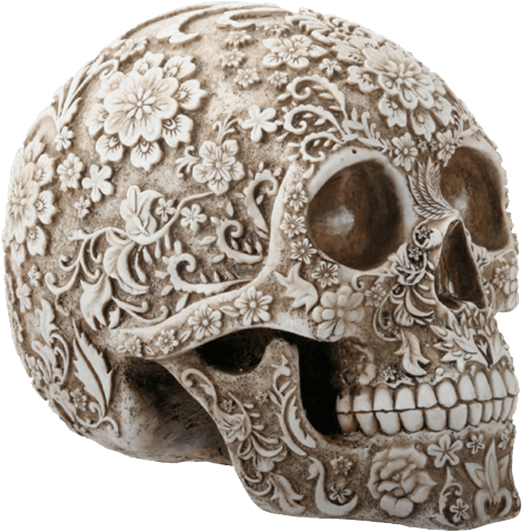 Floral Carved Human Skull - Carved Skull (555x555), Png Download