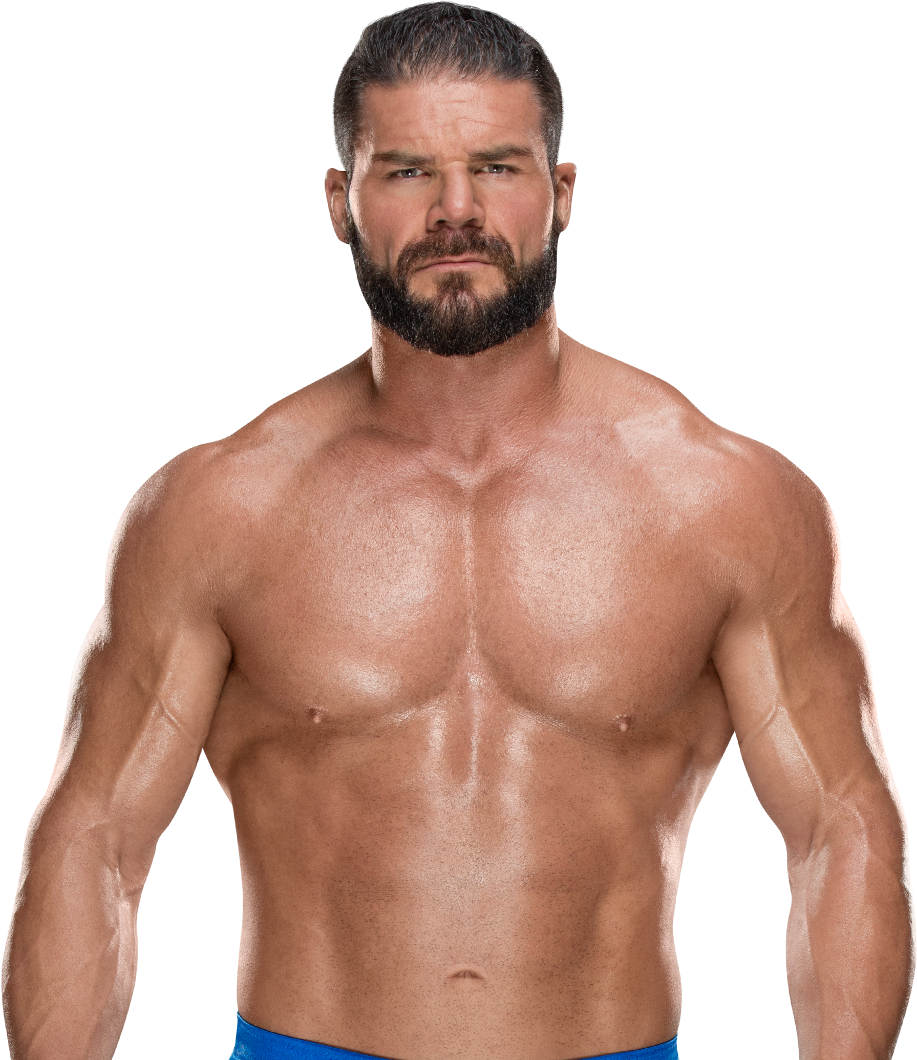 Bobby Roode Bobby, Polyvore, Photos, Superstar, Wwe, - Alberto Del Rio Png (2940x2080), Png Download